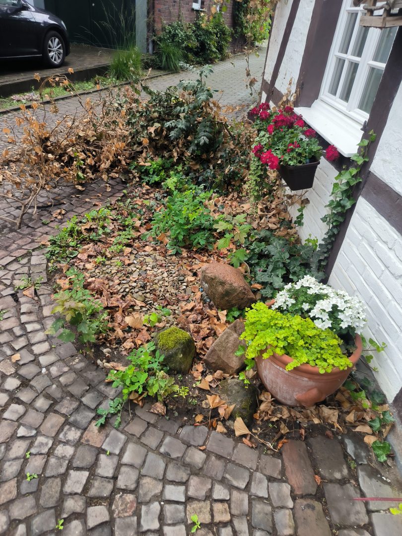 Vorher Garten
