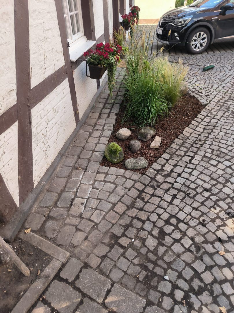 Garten nachher